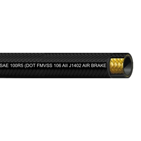 DH245-04
